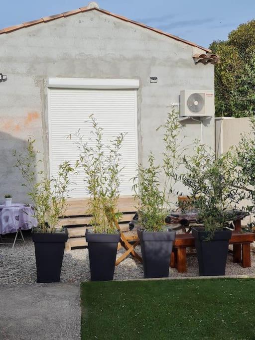 Appartement 53 M² - Pignans Au Coeur Du Var Bagian luar foto